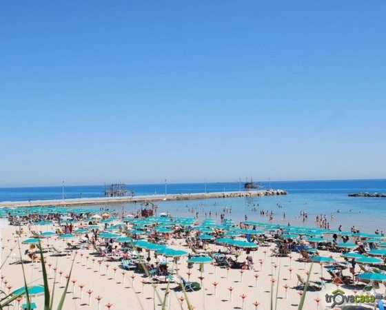 foto 15 Affitto tra privati San Vito Chietino appartement Abruzzo Chieti (provincia di) Spiaggia