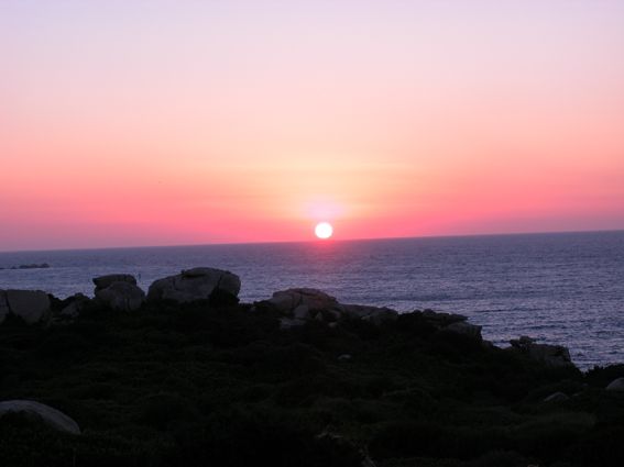 foto 0 Affitto tra privati Santa Teresa di Gallura appartement Sardegna Olbia Tempio (provincia di) Vista dal terrazzo