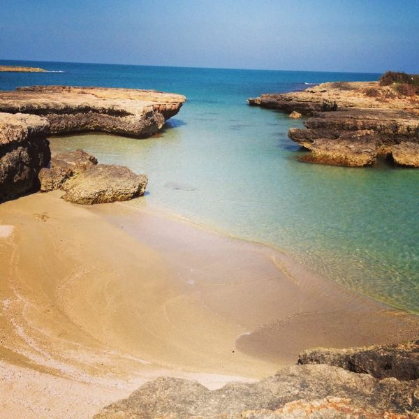 foto 17 Affitto tra privati Ostuni villa Puglia Brindisi (provincia di) Spiaggia