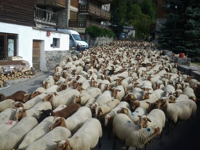 foto 20 Affitto tra privati Champagny en Vanoise appartement Rodano Alpi Savoia