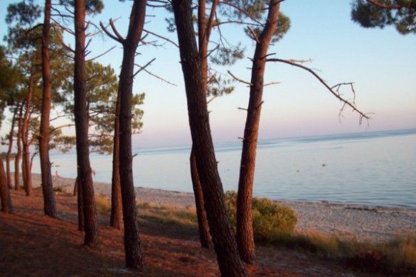 foto 14 Affitto tra privati Andernos les Bains maison Aquitania Gironda (Gironde) Spiaggia