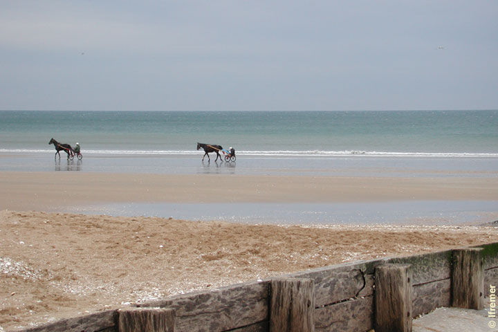 foto 15 Affitto tra privati Cabourg appartement Bassa Normandia Calvados Vista dalla casa vacanze