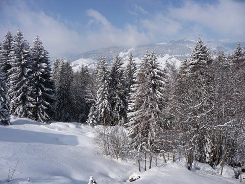 foto 12 Affitto tra privati Megve appartement Rodano Alpi Alta Savoia Vista dal balcone