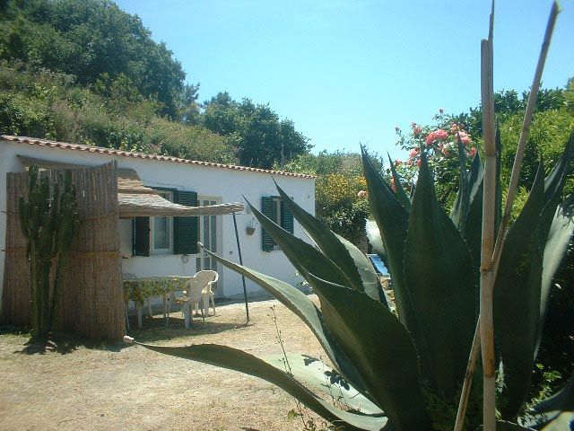 foto 0 Affitto tra privati Forio appartement Campania Isola d'Ischia Piscina