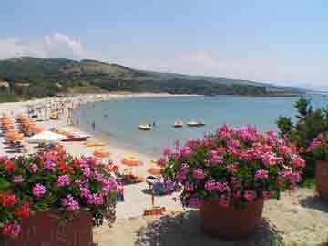 foto 21 Affitto tra privati Isola Rossa appartement Sardegna Olbia Tempio (provincia di) Spiaggia