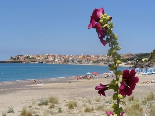 foto 21 Affitto tra privati Marina di Camerota appartement Campania Salerno (provincia di) Spiaggia