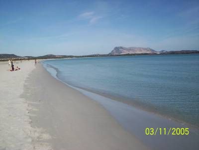 foto 0 Affitto tra privati San Teodoro appartement Sardegna Olbia Tempio (provincia di)