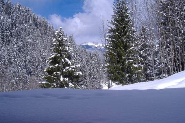 foto 0 Affitto tra privati Areches Beaufort studio Rodano Alpi Savoia Vista dalla casa vacanze