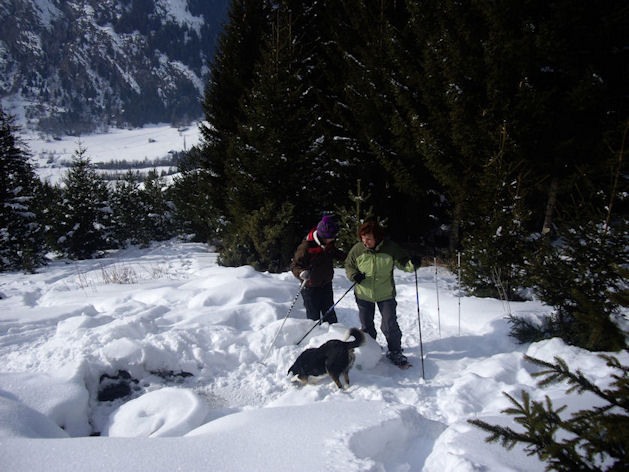 foto 11 Affitto tra privati Termignon la Vanoise gite Rodano Alpi Savoia