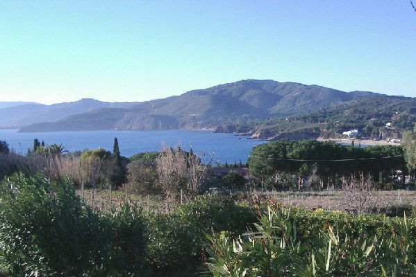 foto 11 Affitto tra privati Capoliveri appartement Toscana Isola d'Elba Vista dalla casa vacanze