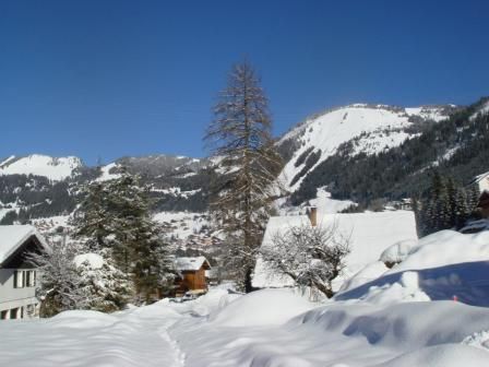 foto 17 Affitto tra privati Chtel chalet Rodano Alpi Alta Savoia Vista dal terrazzo