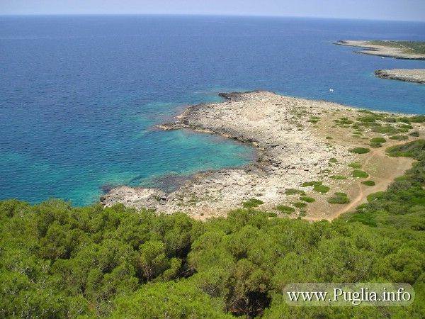 foto 23 Affitto tra privati Gallipoli appartement Puglia Lecce (provincia di) Vista nelle vicinanze