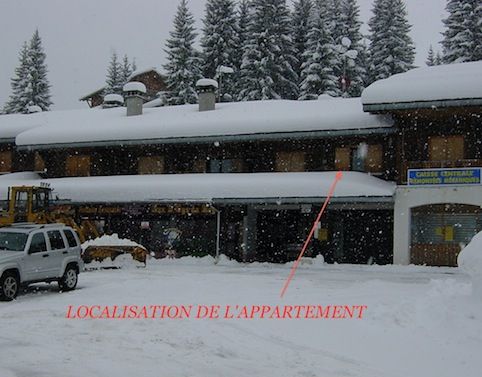 foto 12 Affitto tra privati Praz de Lys Sommand appartement Rodano Alpi Alta Savoia Vista esterna della casa vacanze