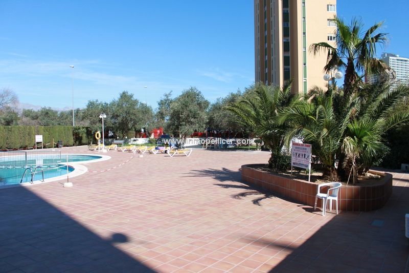 foto 10 Affitto tra privati Benidorm appartement Comunit Valenzana Alicante (provincia di)