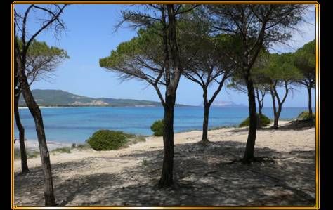 foto 0 Affitto tra privati Budoni maison Sardegna Olbia Tempio (provincia di) Vista nelle vicinanze