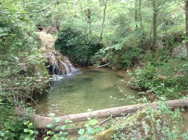 foto 9 Affitto tra privati La Tour d'Aigues gite Provenza Alpi Costa Azzurra Valchiusa Vista esterna della casa vacanze