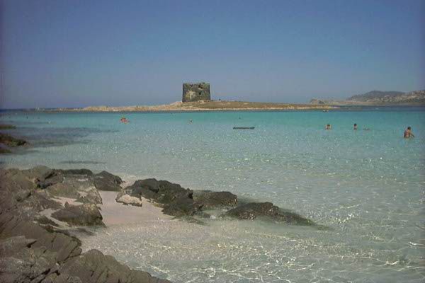 foto 0 Affitto tra privati Stintino appartement Sardegna Sassari (provincia di) Vista nelle vicinanze