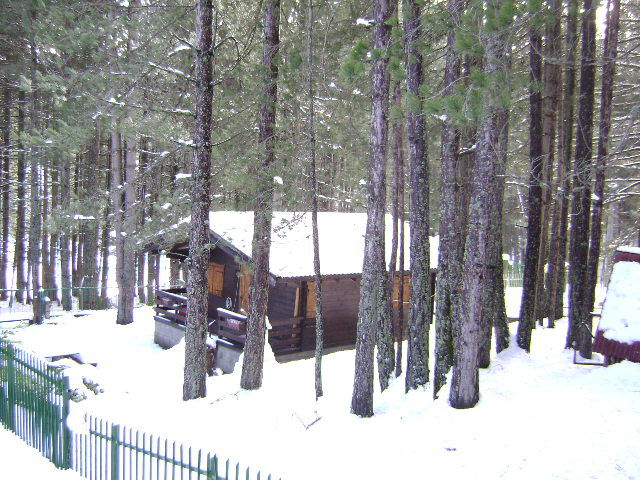 foto 0 Affitto tra privati Camigliatello silano chalet Calabria Cosenza (provincia di)