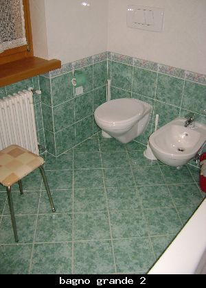 foto 7 Affitto tra privati Selva di Cadore appartement Veneto Belluno (provincia di) Bagno