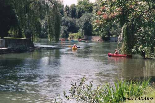 foto 14 Affitto tra privati Fontainebleau villa Ile-de-France Senna e Marna (Seine-et-Marne) Altra vista