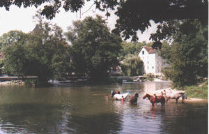 foto 17 Affitto tra privati Fontainebleau villa Ile-de-France Senna e Marna (Seine-et-Marne) Altra vista