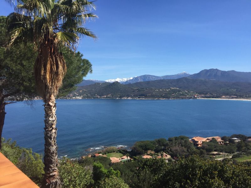 foto 5 Affitto tra privati Ajaccio villa Corsica Corsica del Sud Vista dal terrazzo