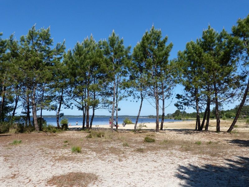 foto 15 Affitto tra privati Lacanau maison Aquitania Gironda (Gironde) Spiaggia