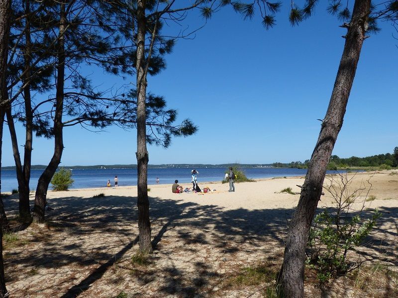 foto 18 Affitto tra privati Lacanau maison Aquitania Gironda (Gironde) Spiaggia