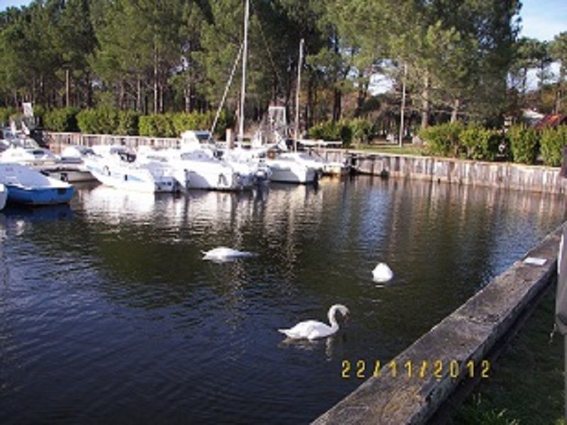 foto 17 Affitto tra privati Lacanau maison Aquitania Gironda (Gironde) Vista nelle vicinanze