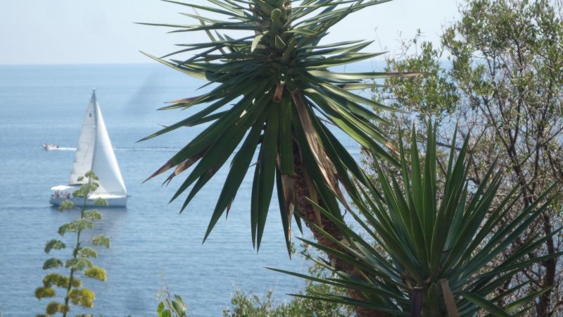 foto 16 Affitto tra privati Solenzara appartement Corsica Corsica del Sud Altra vista