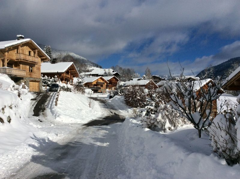 foto 24 Affitto tra privati Praz sur Arly chalet Rodano Alpi Alta Savoia Vista esterna della casa vacanze
