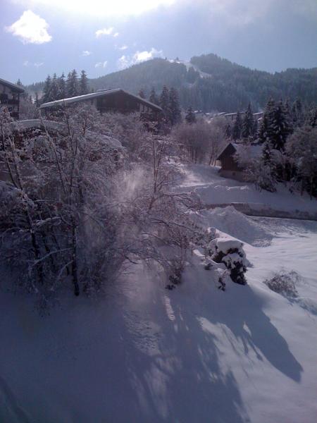 foto 1 Affitto tra privati Les Gets appartement Rodano Alpi Alta Savoia Vista dal balcone