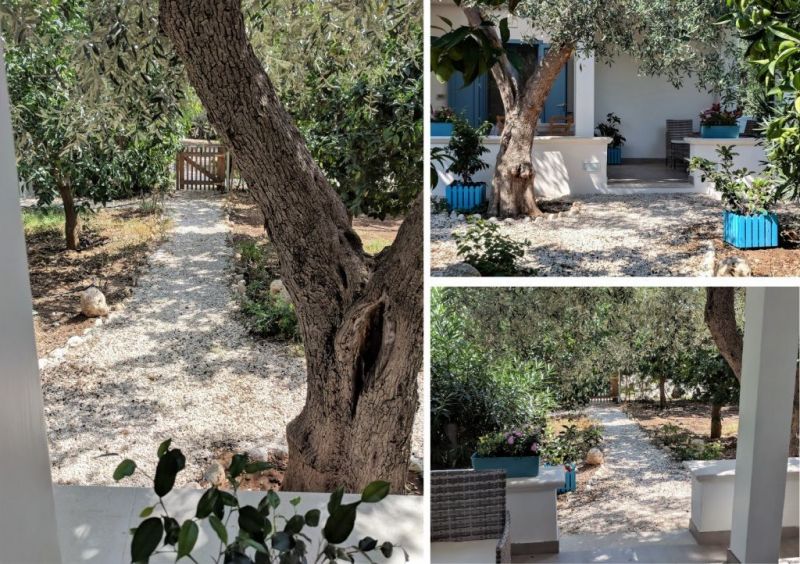 foto 9 Affitto tra privati Mattinata maison Puglia Foggia (provincia di) Vista esterna della casa vacanze