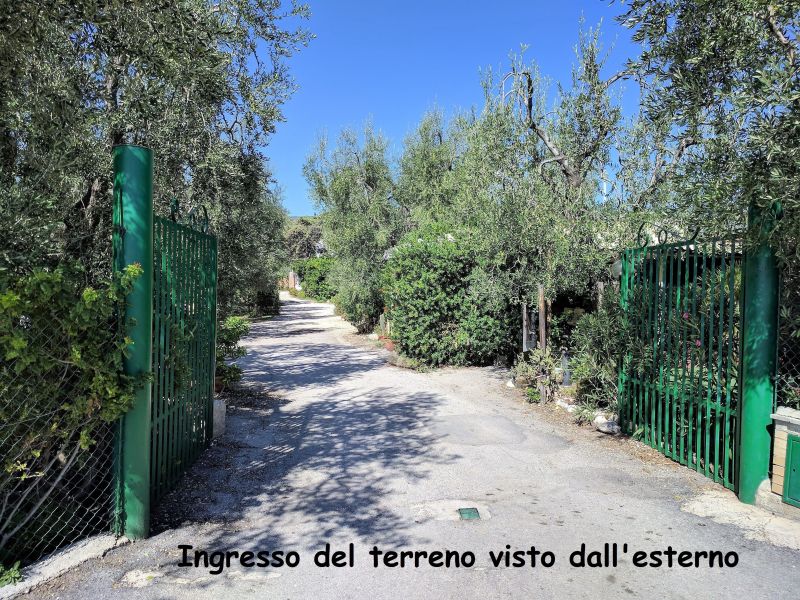 foto 5 Affitto tra privati Mattinata maison Puglia Foggia (provincia di) Vista nelle vicinanze