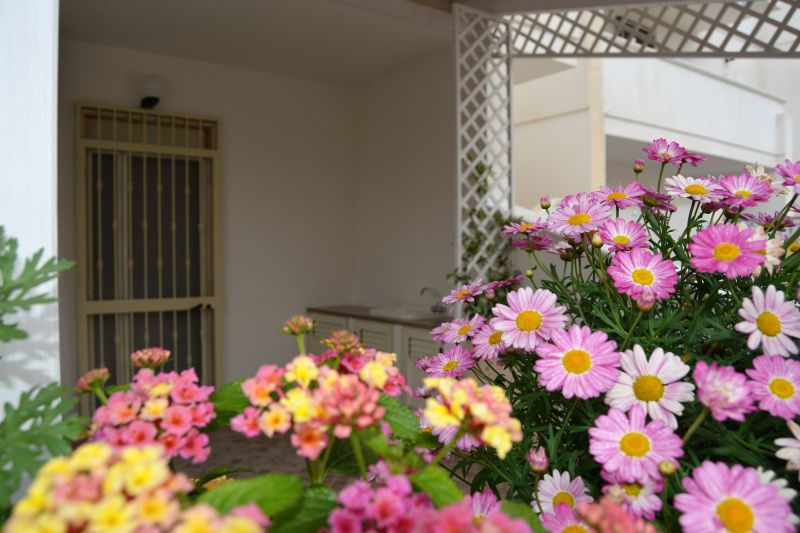 foto 0 Affitto tra privati Torre Mozza appartement Puglia Lecce (provincia di) Vista esterna della casa vacanze