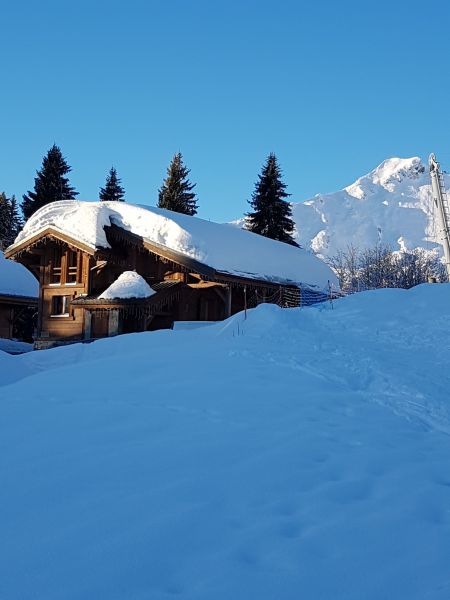 foto 18 Affitto tra privati Praz de Lys Sommand chalet Rodano Alpi Alta Savoia Vista esterna della casa vacanze