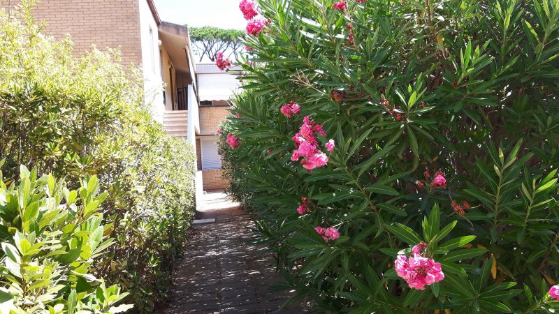 foto 11 Affitto tra privati Principina a Mare appartement Toscana Grosseto (provincia di) Entrata