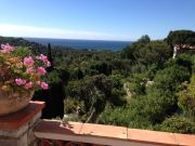 Affitto case mare Costa Mediterranea Francese: villa n. 109448