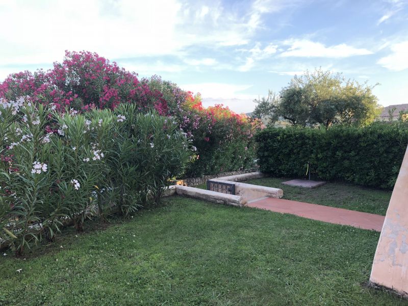 foto 16 Affitto tra privati Budoni appartement Sardegna Olbia Tempio (provincia di) Giardino