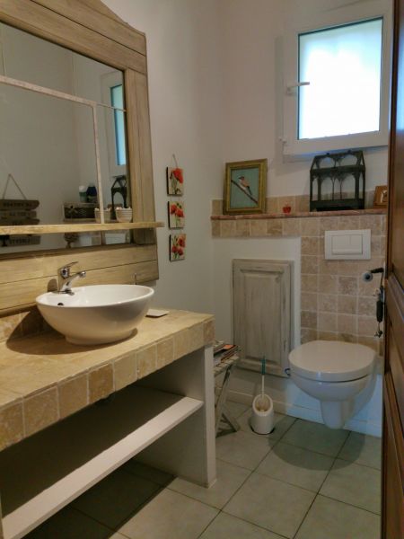 foto 18 Affitto tra privati Avignone maison Provenza Alpi Costa Azzurra Valchiusa WC indipendente 1