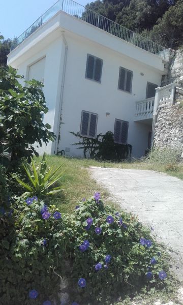 foto 4 Affitto tra privati Vieste villa Puglia Foggia (provincia di)