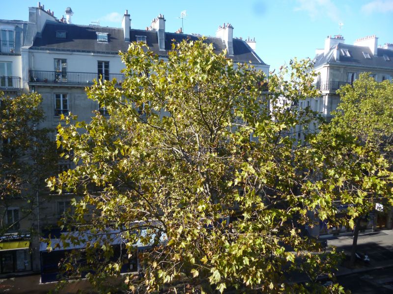 foto 7 Affitto tra privati PARIGI appartement Ile-de-France Parigi Vista dalla casa vacanze