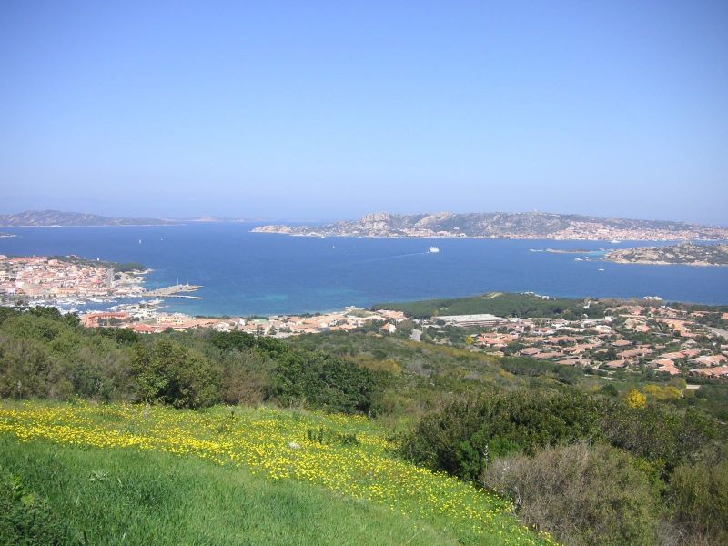 foto 17 Affitto tra privati Arzachena appartement Sardegna Olbia Tempio (provincia di) Altra vista