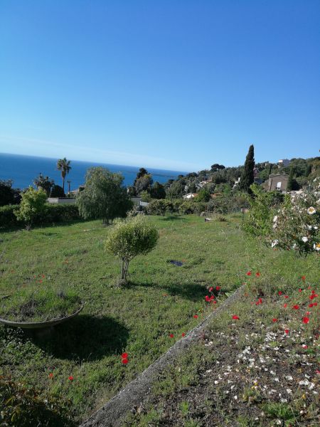 foto 22 Affitto tra privati Cannes villa Provenza Alpi Costa Azzurra Alpi Marittime (Alpes-Maritimes) Giardino