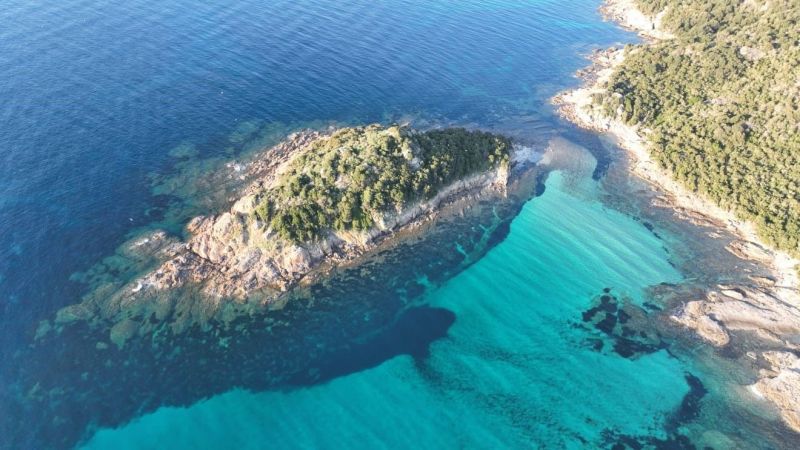 foto 6 Affitto tra privati Palombaggia insolite Corsica Corsica del Sud