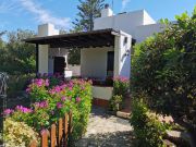 Affitto case vacanza Sardegna: villa n. 66714
