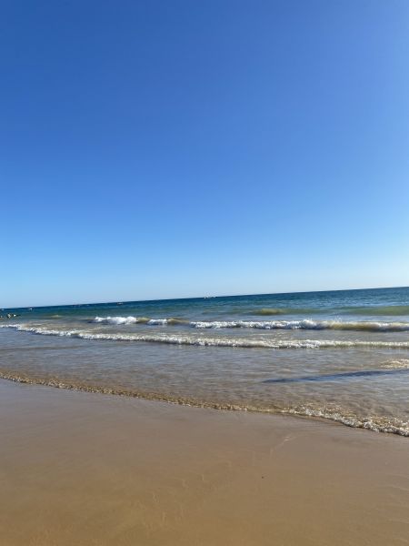 foto 5 Affitto tra privati Albufeira villa Algarve  Spiaggia
