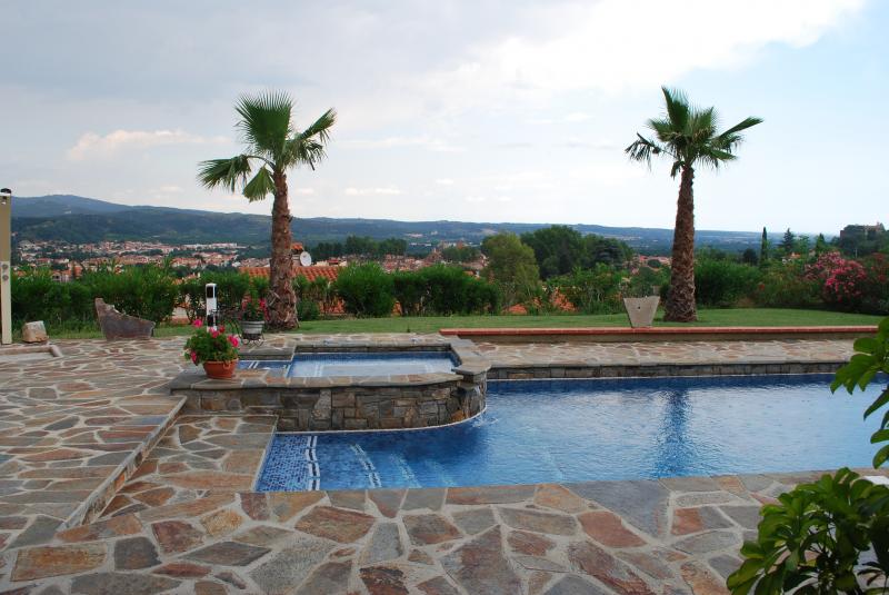 foto 5 Affitto tra privati Ceret appartement Linguadoca-Rossiglione Pirenei Orientali (Pyrnes-Orientales) Piscina