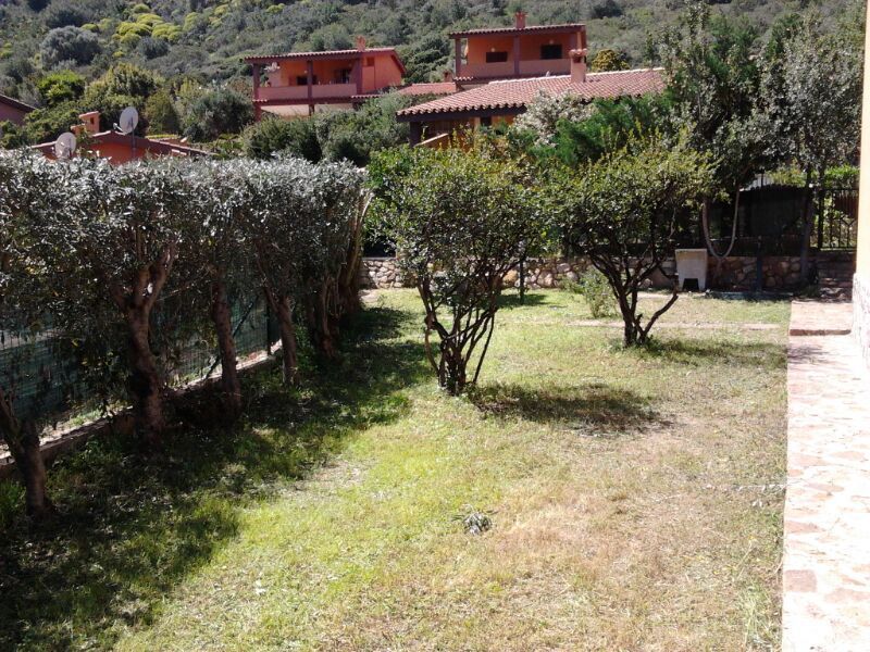 foto 29 Affitto tra privati Costa Rei villa Sardegna Cagliari (provincia di) Giardino