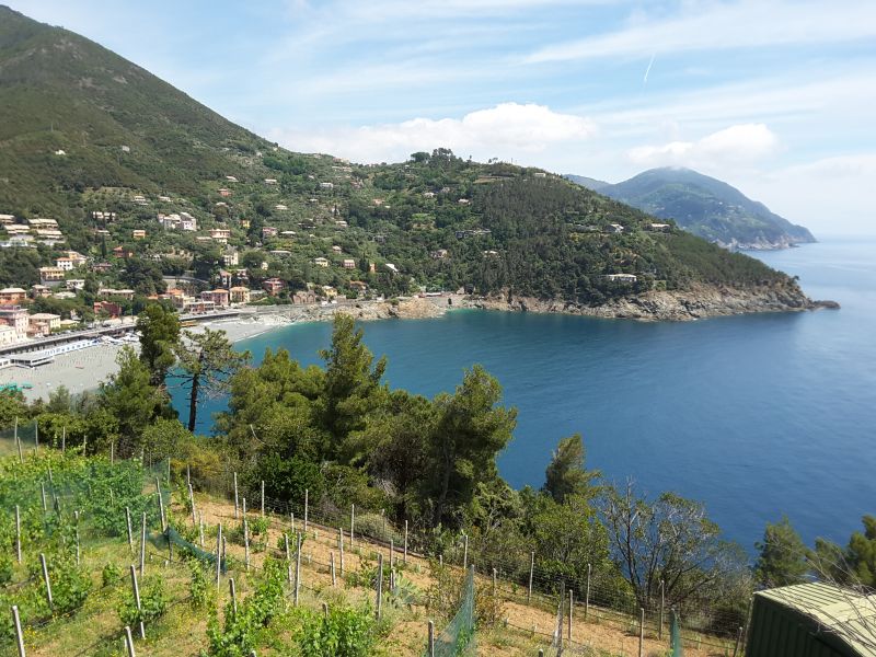 foto 5 Affitto tra privati Bonassola studio Liguria La Spezia (provincia di) Vista nelle vicinanze